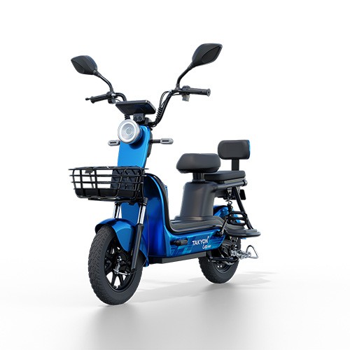 Walton E-Bike  TAKYON LEO (23 Ah) Free Shipping